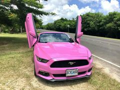 -丽姐租车