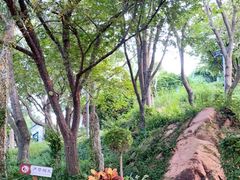 -青岛海滨风景区小鱼山