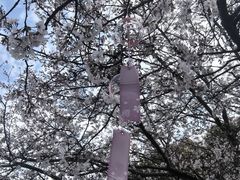 -凤凰沟景区