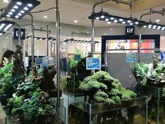 -光启城时尚购物中心