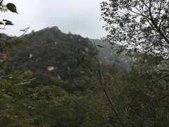 -大岭沟猕猴桃谷风景区