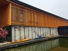 -田园东方蜜桃村的田野营地