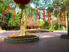 -揭东万竹园旅游景区