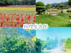 -丹樱生态园