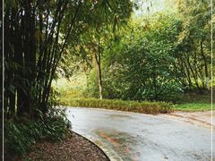 -桤木河湿地公园