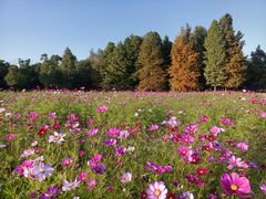 -同里国家湿地公园