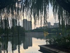 -青枫公园