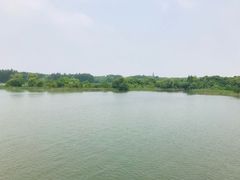 -东湖落雁景区