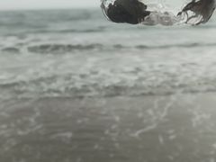 -朱家尖南沙景点
