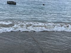 -后海村