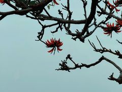 -集美鳌园景区