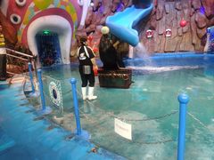 -烟台海昌鲸鲨海洋公园