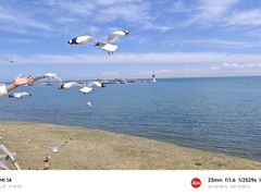 -青海湖国家重点风景名胜区