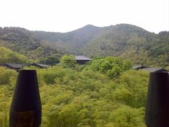 -大唐贡茶院