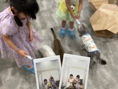 -楼上猫咖(罗湖店)