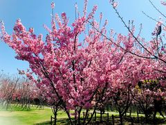 -福建鲤鱼洲酒店