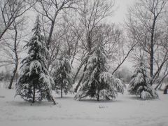 金孔雀温泉旅游度假村-金孔雀温泉旅游度假村