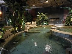-汤印温泉假日酒店