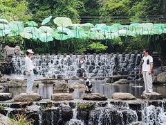 -石台牯牛降景区