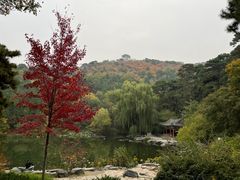 -香山公园