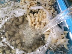 -江杨农产品批发市场