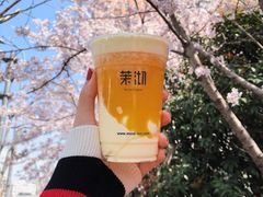 -茉沏(光启城店)