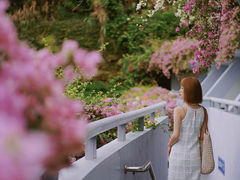 -深圳仙湖植物园-停车场
