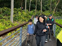 -中山市树木园