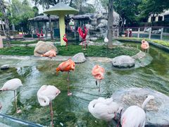 -灵玲国际马戏城