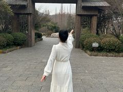 -习家池