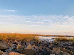 -南汇嘴观海公园