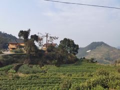 -杨家堂村