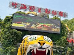 -栾川竹海野生动物园