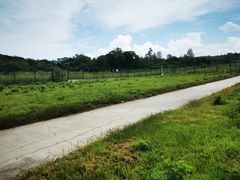 -绥芬河国门景区
