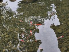 -黄远堂凤梨酥·伴手礼(中山路六店)