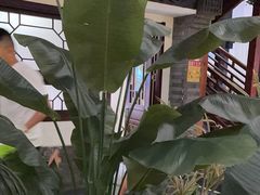 -鲁城往事(游客中心店)