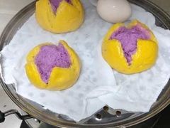 -田螺阿姨自营月嫂·育儿嫂(高新店)