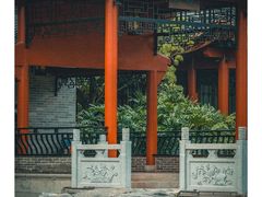-顺峰山公园