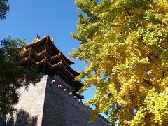 -东华门大街小区