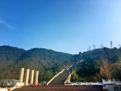 -铁山坪森林公园