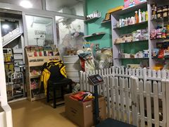 -喵宠乐园·撸猫互动·猫舍