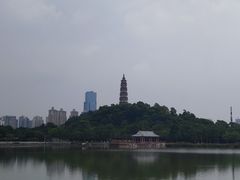 -顺峰山公园