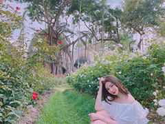 -人民公园(罗湖区)