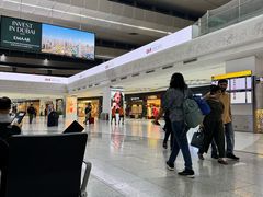 -英迪拉·甘地国际机场