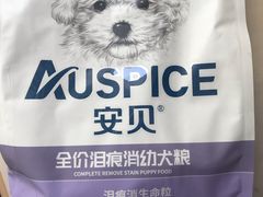 -宠福鑫康馨动物医院·骨科·眼科