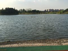 -银涛高尔夫练习场(徐泾店)