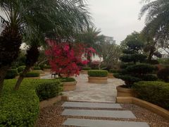 -科尔海悦酒店·柏顿花园餐厅(清河东路店)