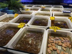 -驻海渔市(置信店)