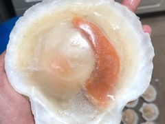 -T11生鲜超市(朝阳公园店)