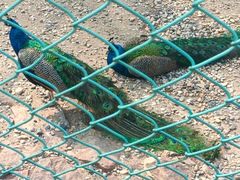 -南京金牛湖风景区